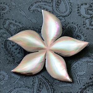 Vintage Abalone Shell Carved Flower Pin